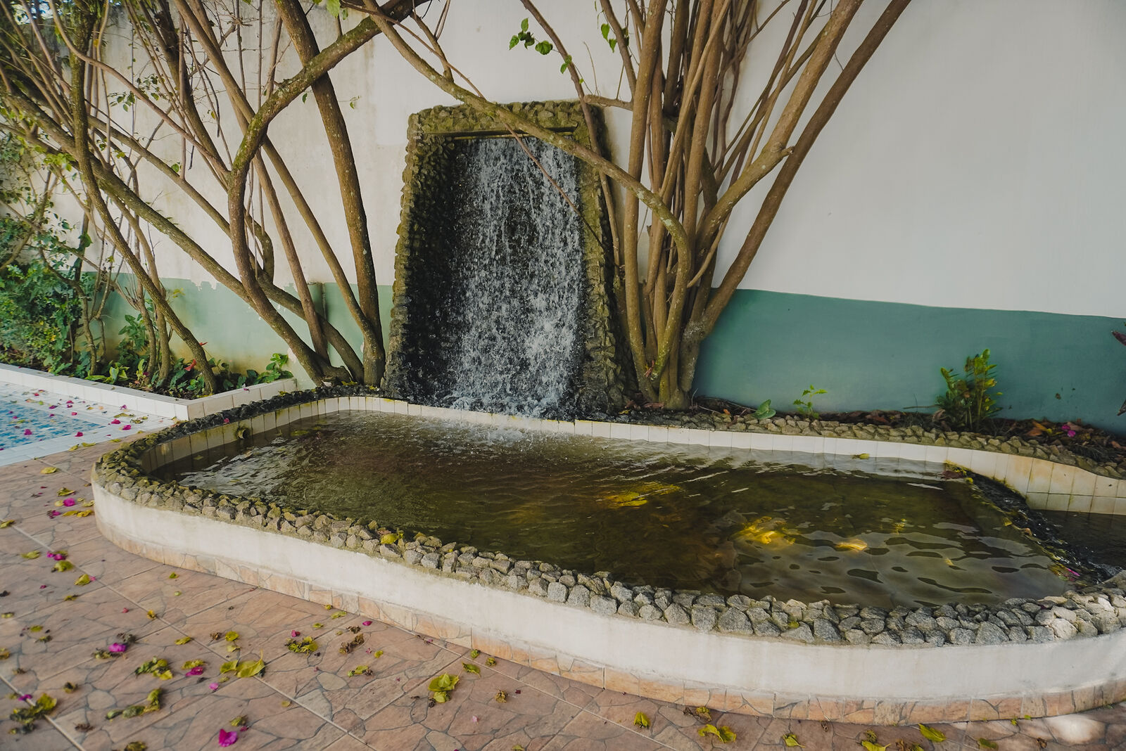 Cascata e espelho d'água no jardim do cemitério